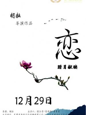 山海关往事 剧集封面